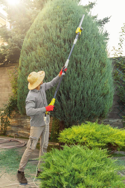  Grandview Heights, OH Tree Removal and Landscaping Services Pros